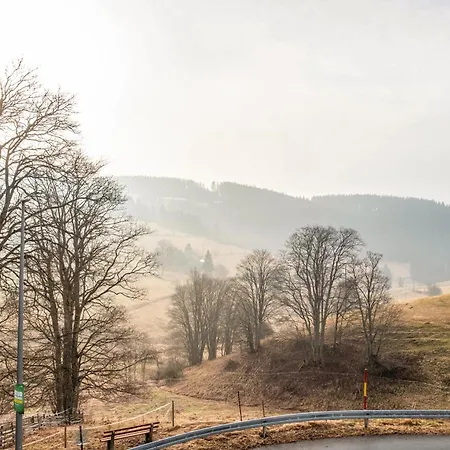 Beim Pauli * تيتيسي نيوستادت