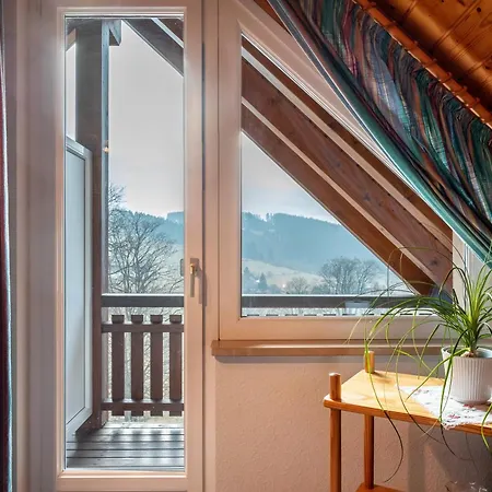 Beim Pauli * تيتيسي نيوستادت