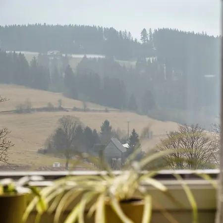 Apartment Beim Pauli Titisee-Neustadt