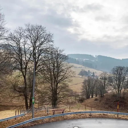 Beim Pauli * Titisee-Neustadt