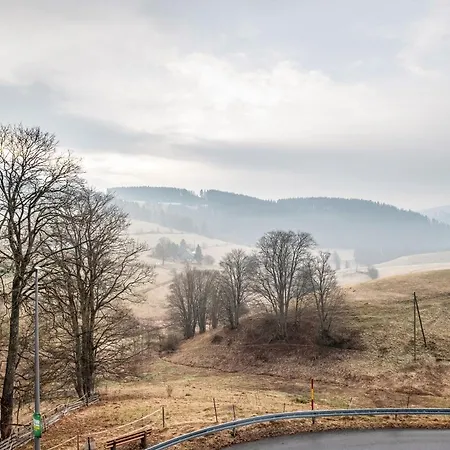 Beim Pauli Daire Titisee-Neustadt